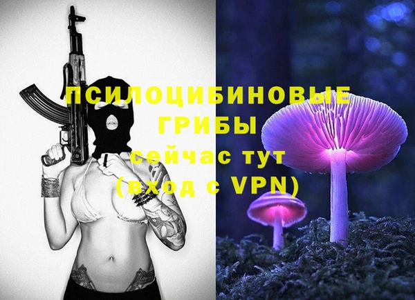ешки Волоколамск